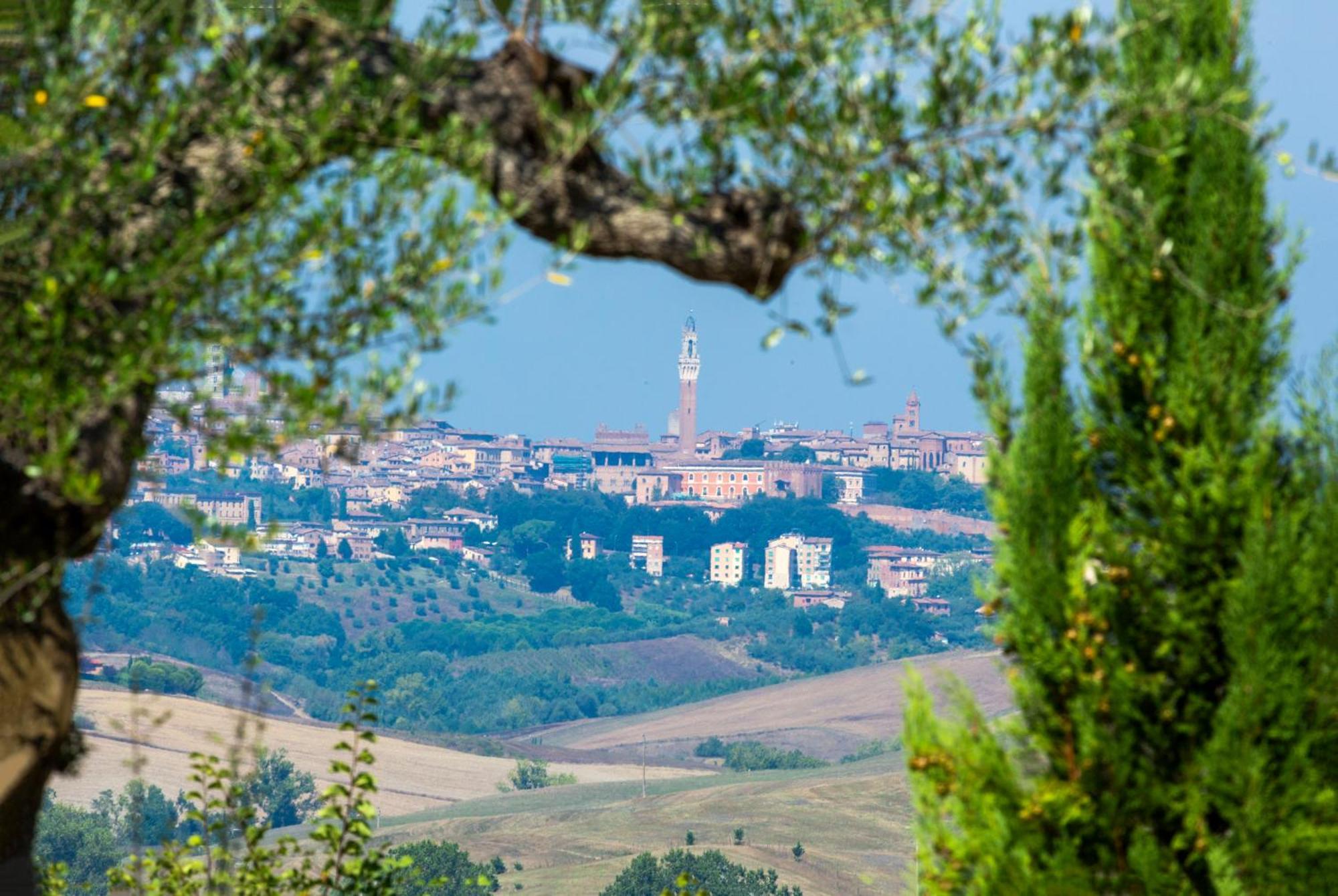 Casavacanze Vesta Isola d'Arbia Εξωτερικό φωτογραφία