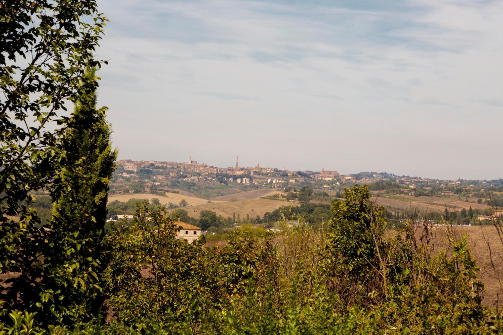 Casavacanze Vesta Isola d'Arbia Εξωτερικό φωτογραφία